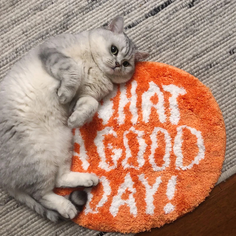 Orange Flocking Floor Rug What - Home Goods Bathroom Rugs のレビューと価格