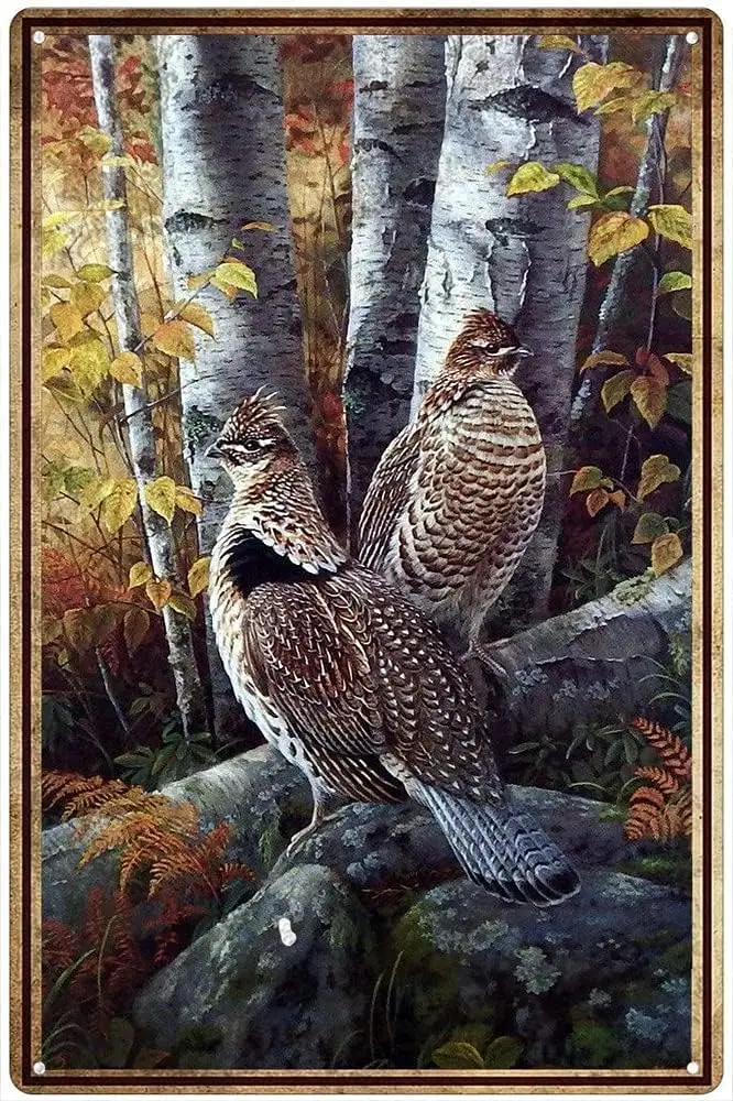 Vintage Metal Sign Grouse Ruff - Home Bathroom Wall Decor のレビューと価格