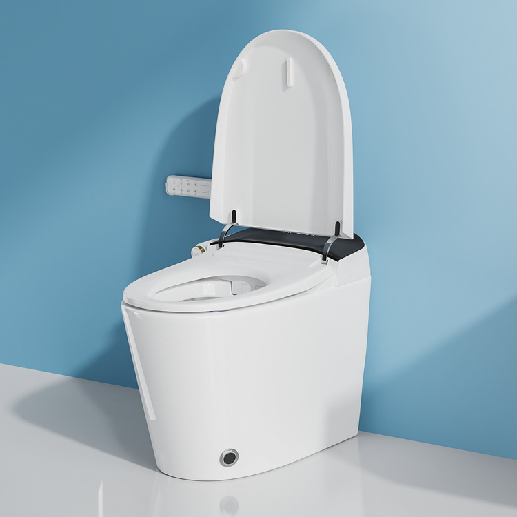 Home Decoration Bathroom Smart - Home Bathroom Toilet のレビューと価格