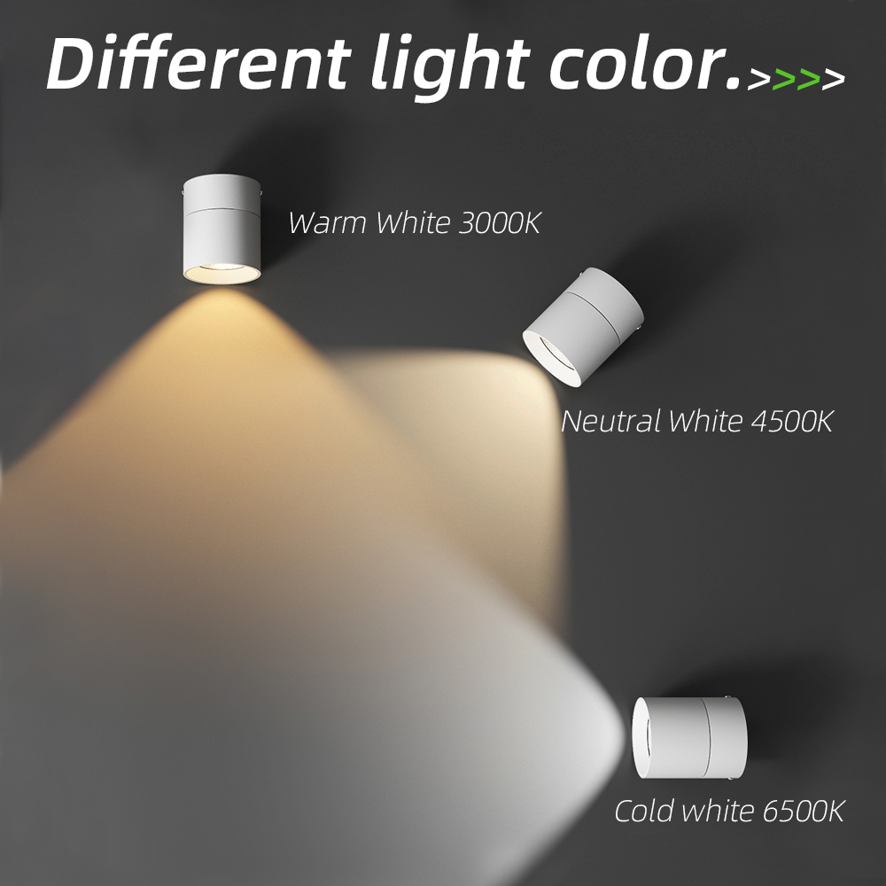 Spot Led Downlight 220v 3 colo - Home Bathroom Colors のレビューと価格