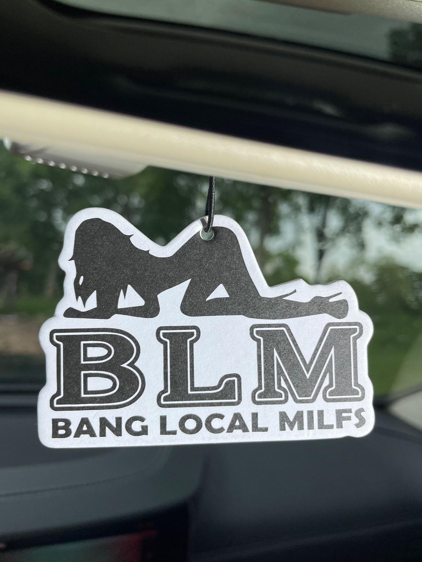 Blm Bang Local Milf/Fresh Frag - Home Bathroom Freshener のレビューと価格