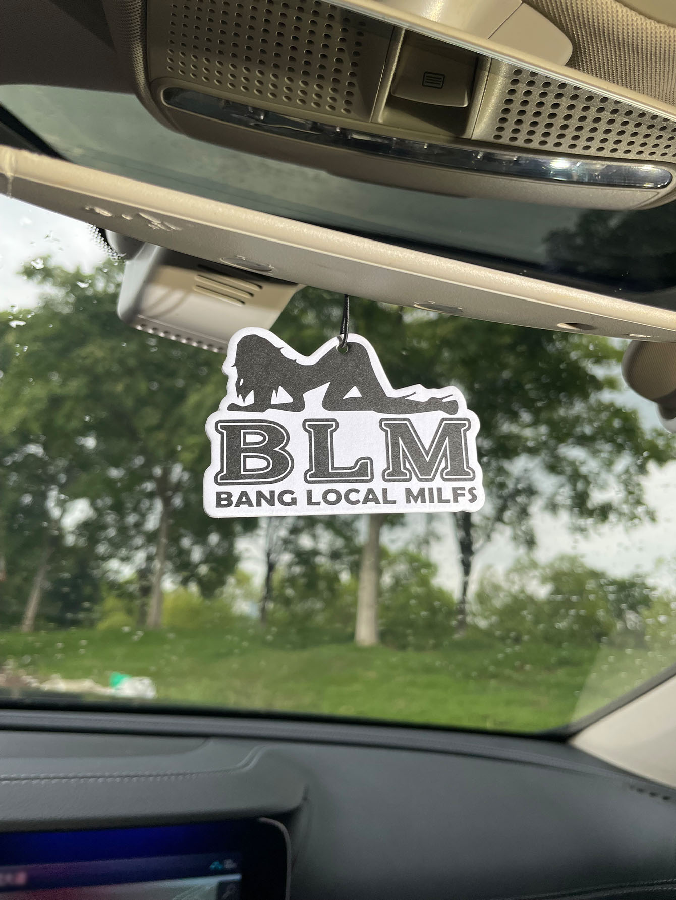 Blm Bang Local Milf/Fresh Frag - Home Bathroom Freshener のレビューと価格