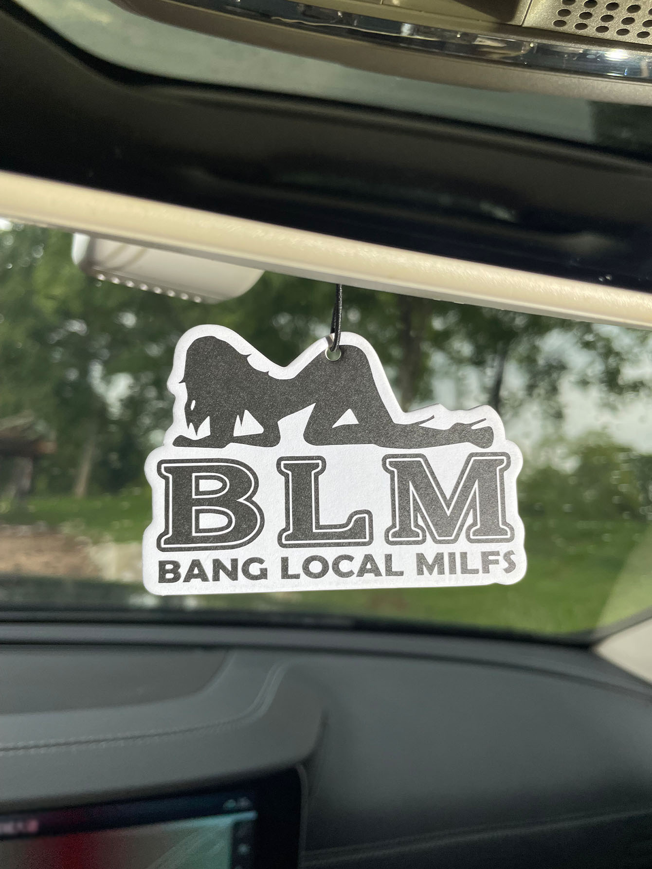 Blm Bang Local Milf/Fresh Frag - Home Bathroom Freshener のレビューと価格