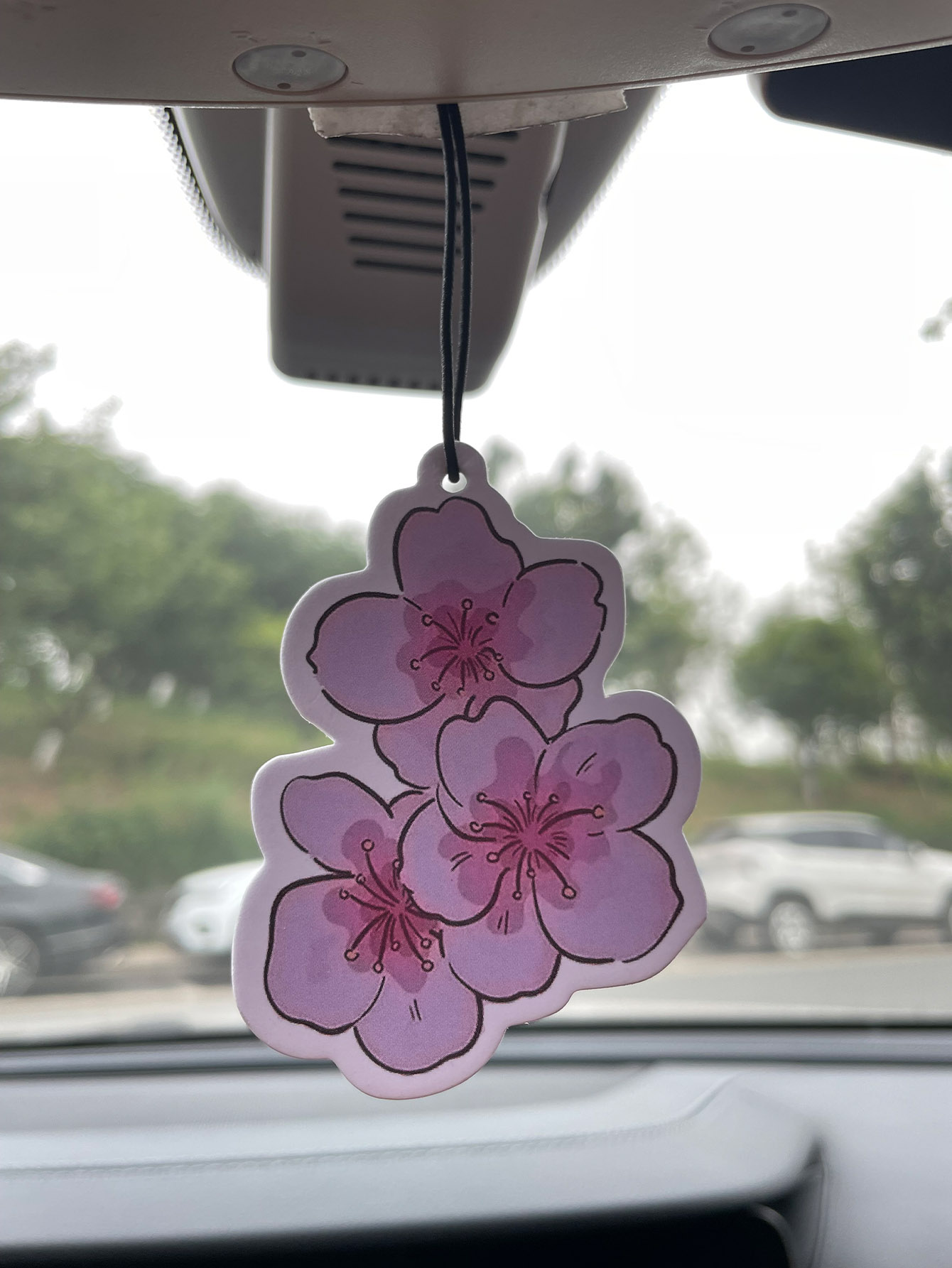 Sakura/Freesia Fresh Scent Fiv - Home Bathroom Freshener のレビューと価格