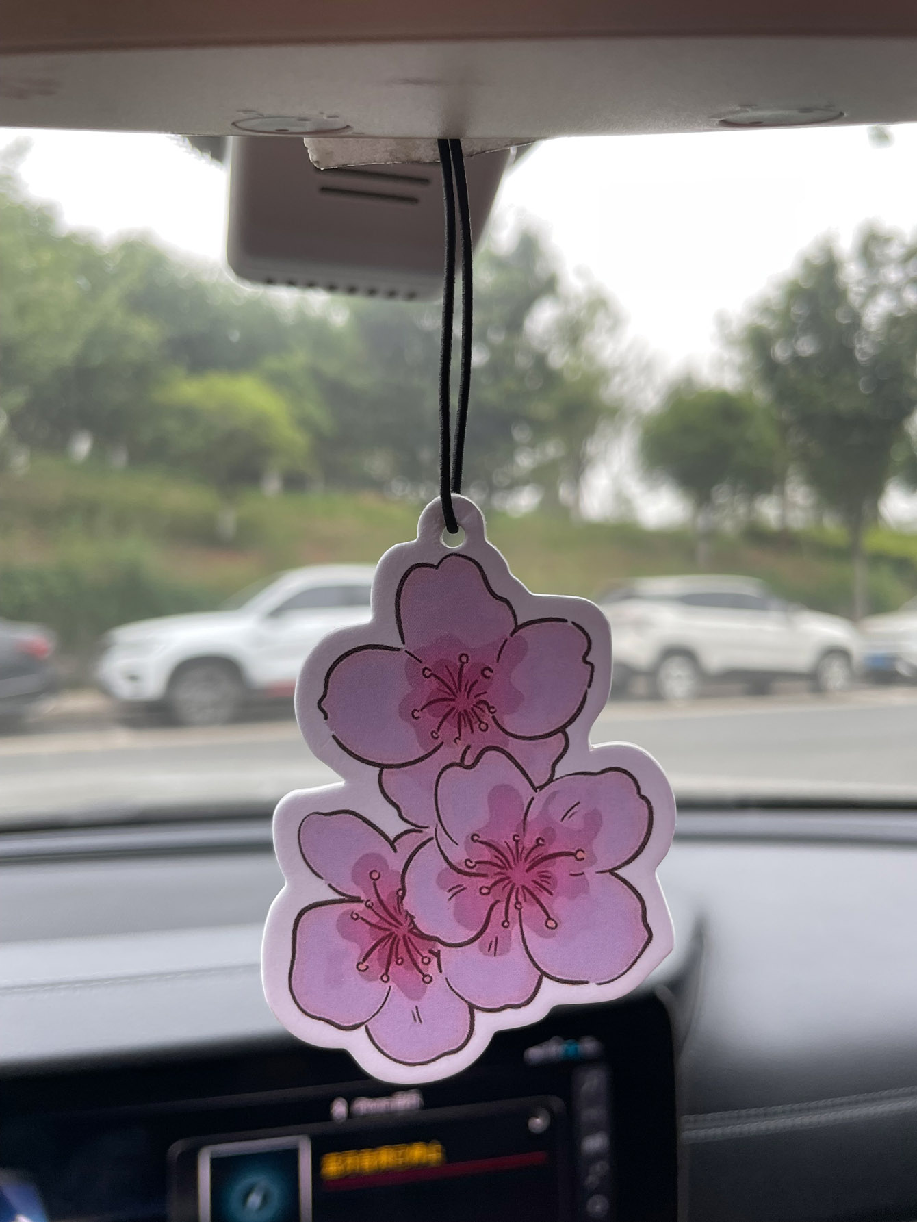 Sakura/Freesia Fresh Scent Fiv - Home Bathroom Freshener のレビューと価格